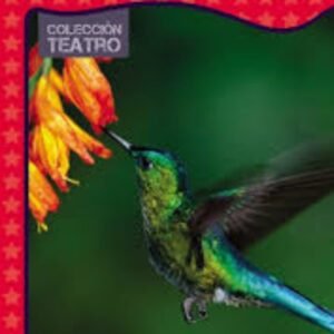El colibrí y las flóres