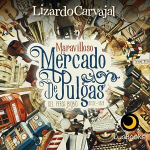 El maravilloso mercado de Pulgas